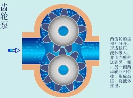 看圖秒懂 17種泵的工作原理及性能特點(diǎn)展示圖- 看圖秒懂 17種泵的工作原理及性能特點(diǎn)展示圖-